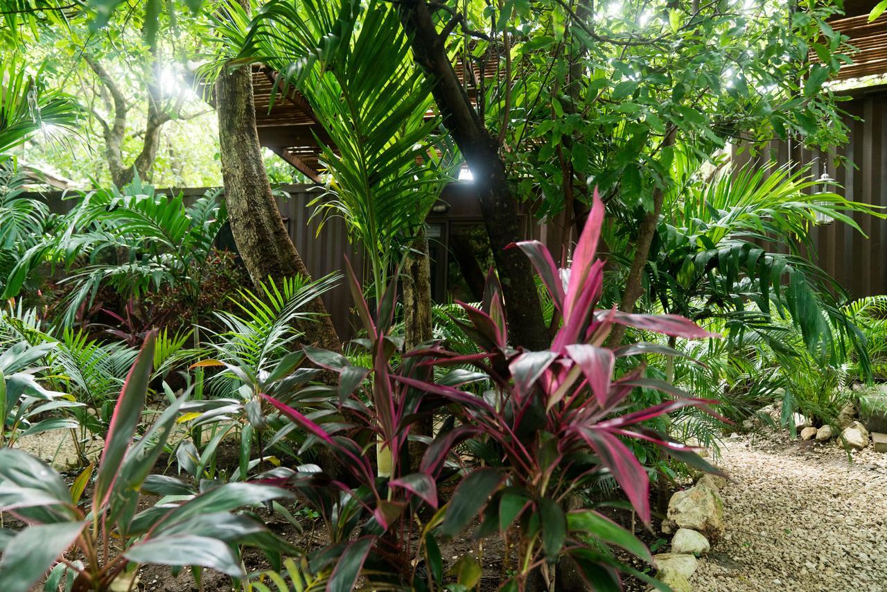 Green Sanctuary Hotel Nosara Eksteriør bilde