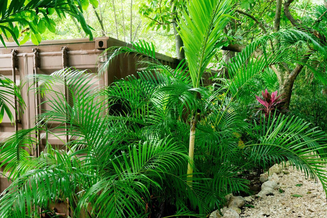 Green Sanctuary Hotel Nosara Eksteriør bilde