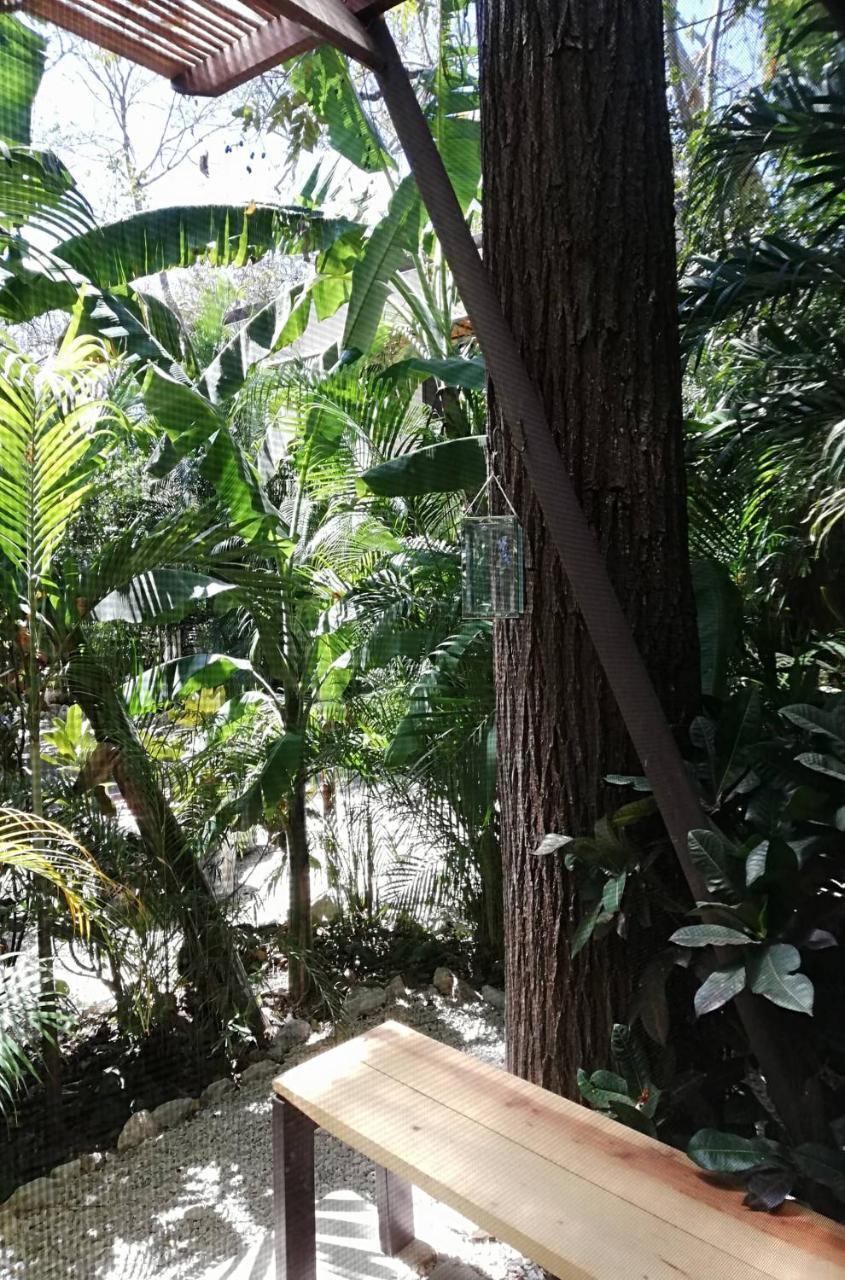 Green Sanctuary Hotel Nosara Eksteriør bilde